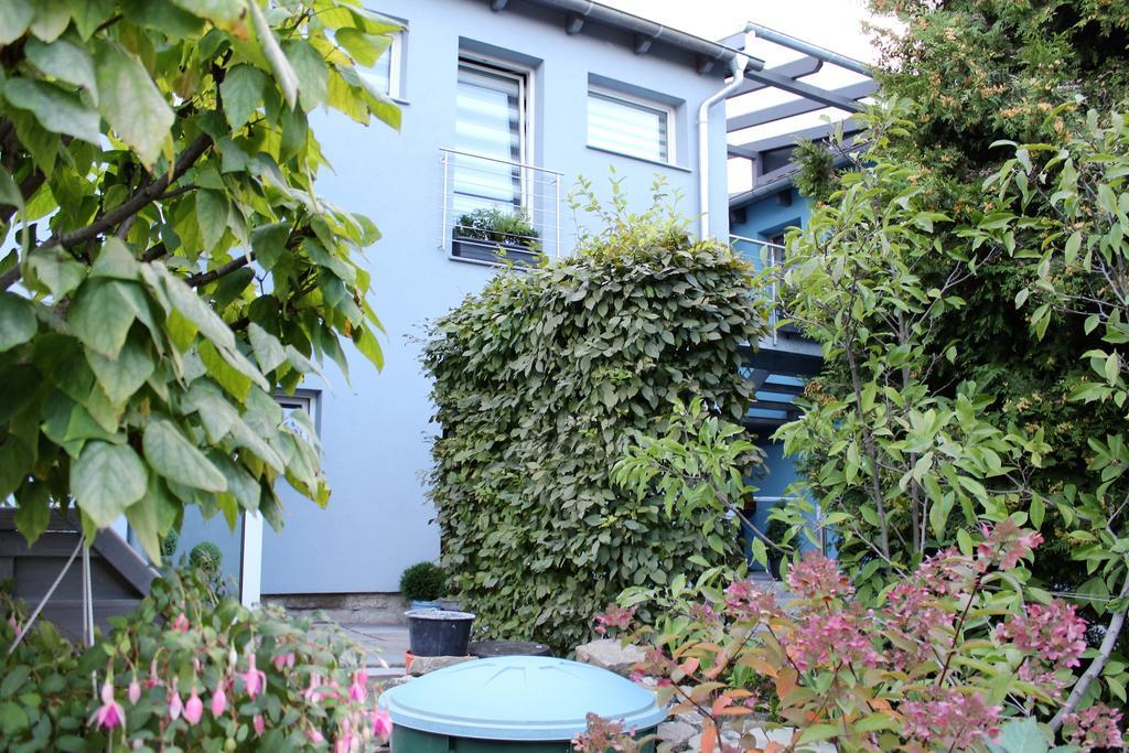 Apartment Am Park